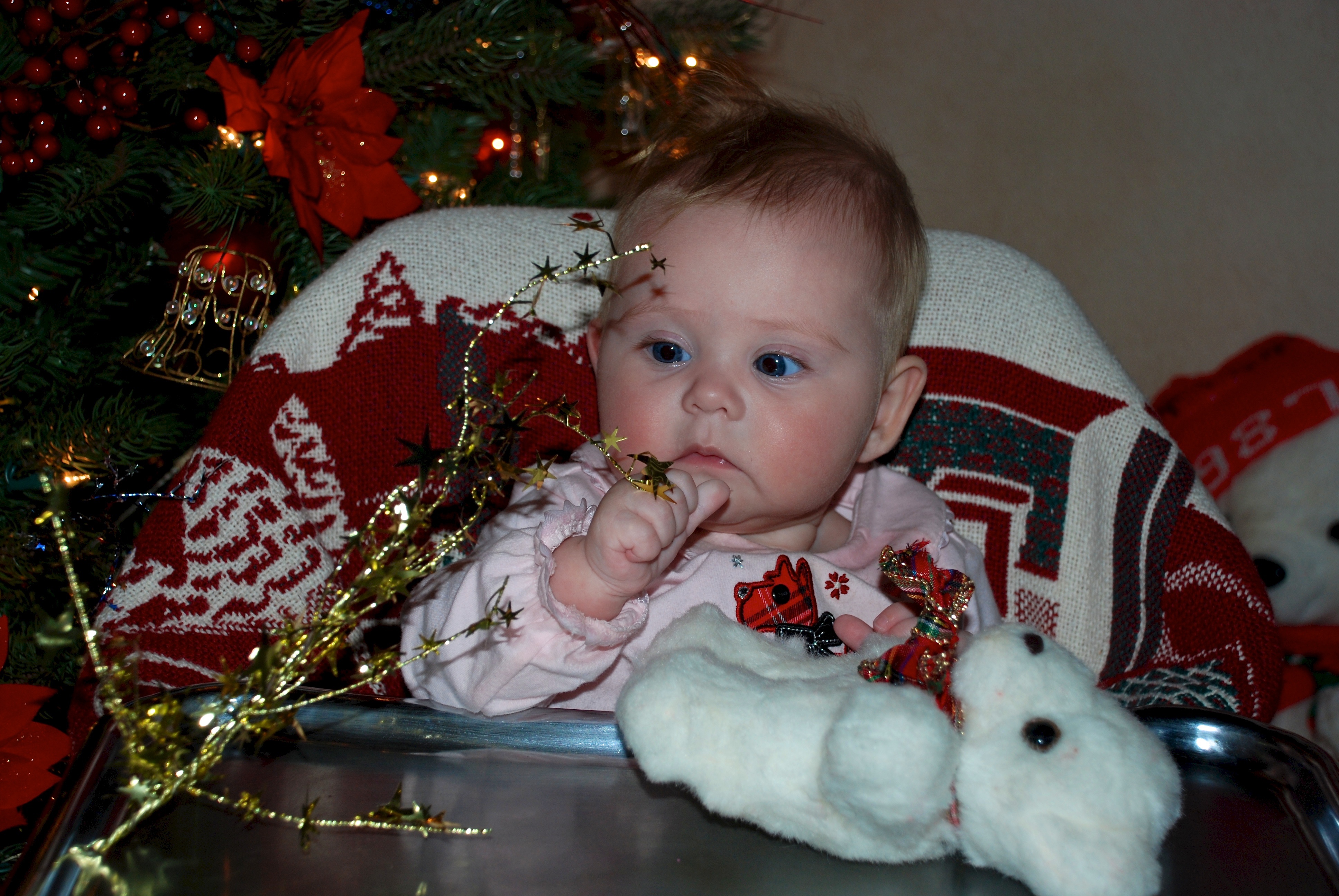 2008-11-28-13 Sydney early Christmas at Grandmas.jpg